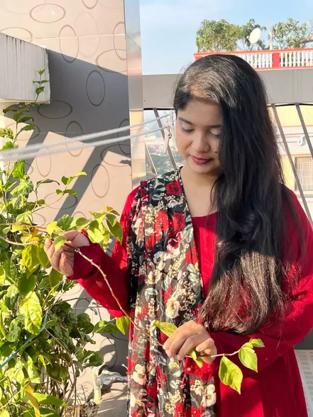 Ticket and Reservation at Internationals Travel Agency groom want bride in Dhaka