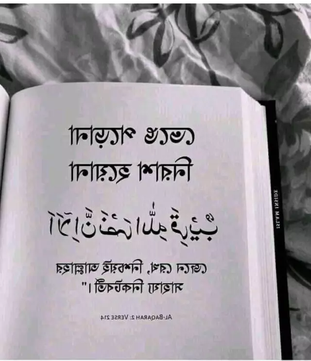 Looking for Divorced bride. Chandpur preference