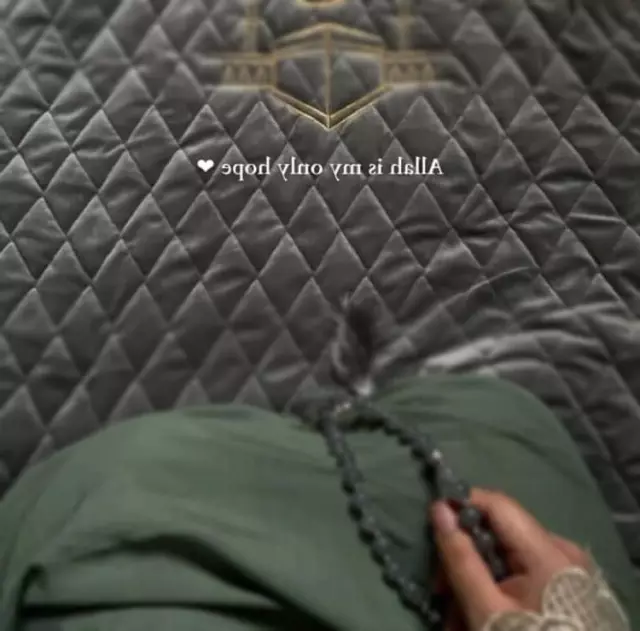 Practicing Muslim, wears Hijab, has keen interest to know more about deen seeking groom